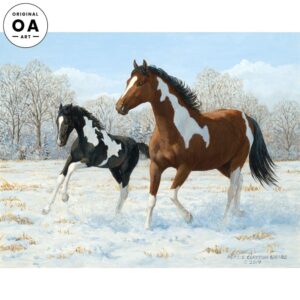 Frisky Paints—Horses